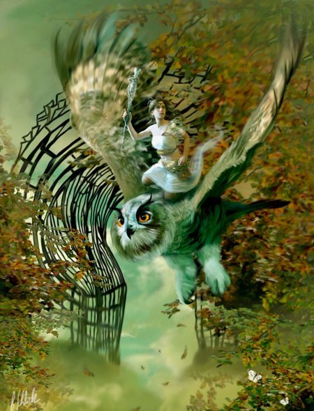 Фэнтези птицы