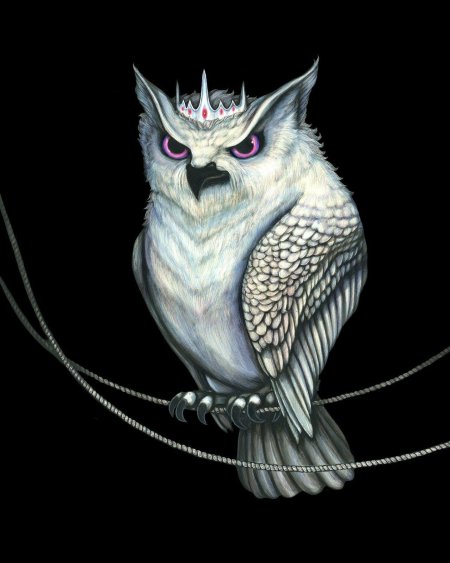 Белый филин