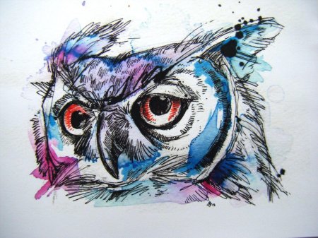 Рисунки сов