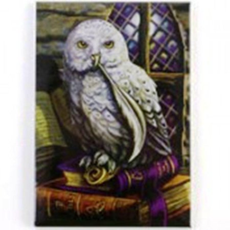 Сова гарри поттера букля