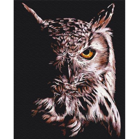 Картина по номерам сова