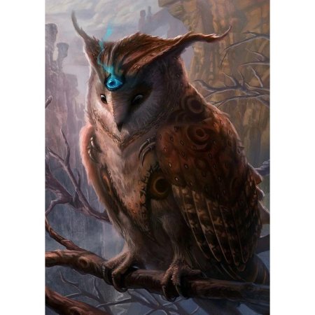 Гигантская сова днд