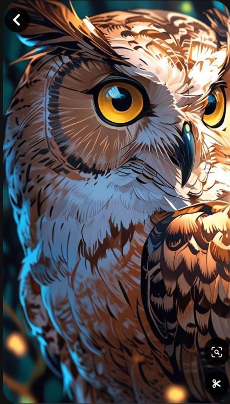 Сова арт