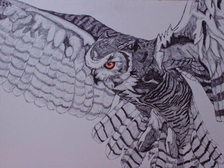 Рисунки совы карандашом