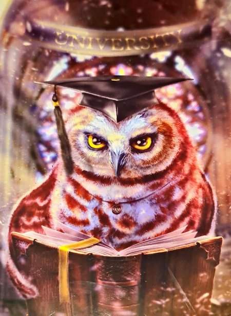 Сова мудрости