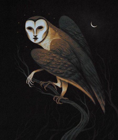 Сова сипуха