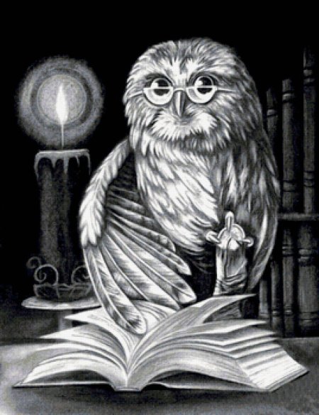 Сова мудрая