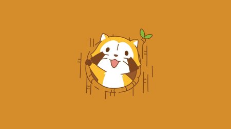 Araiguma rascal raccoon