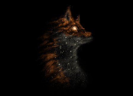 Лиса в космосе