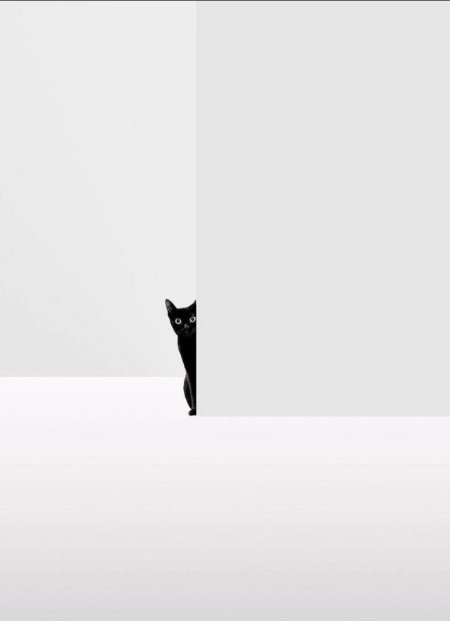 Черно белый минимализм