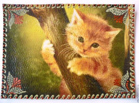 Очаровательные котята