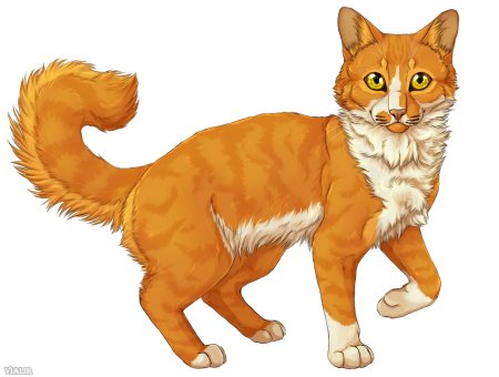 Рыжая кошка арт