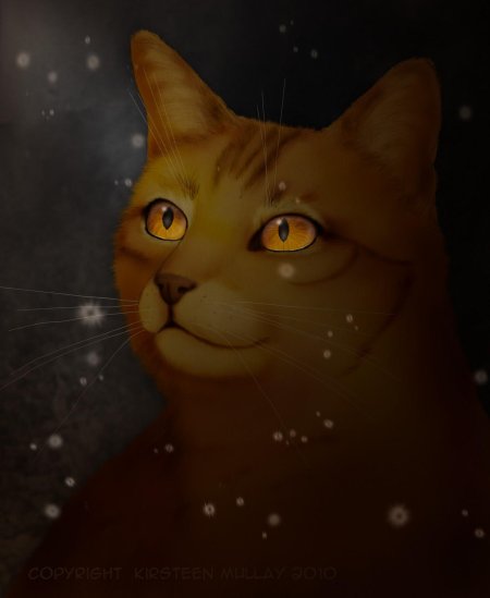 Коты воители мотылинка