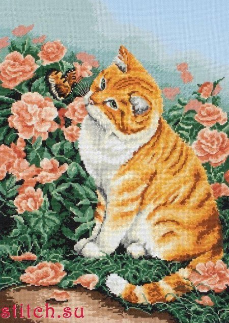 Вышивка рыжий кот