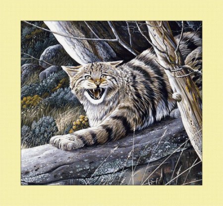 Анималист карл брендерс