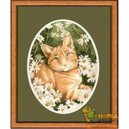 Кот в одуванчиках кларт