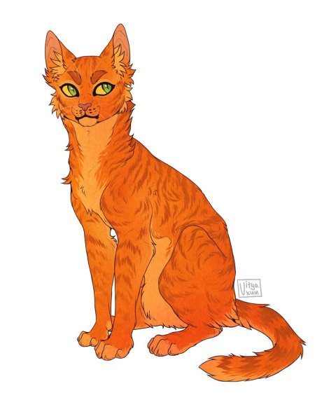 Коты воители огнезвёзд