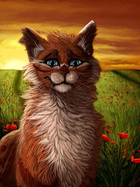 Арт кот