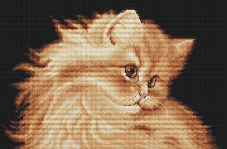 Вышивка персидский кот