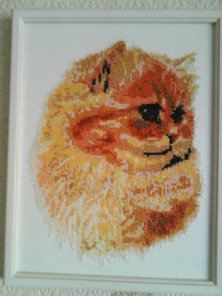 Золотое руно рыжик