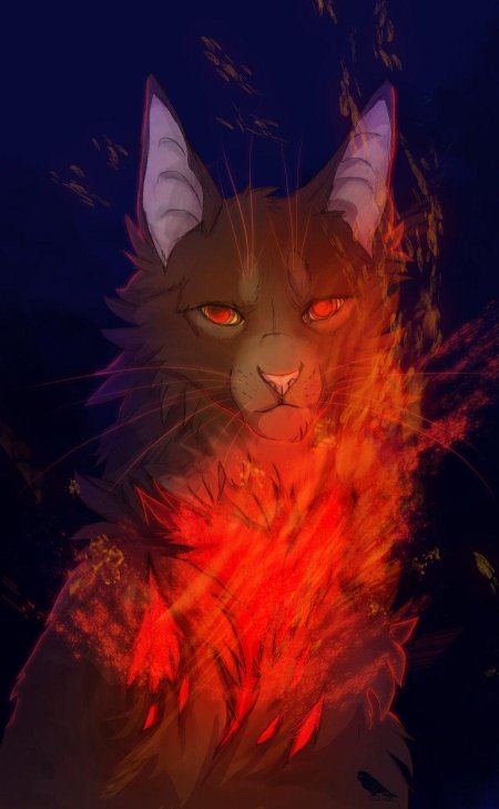 Коты воители красивые арты