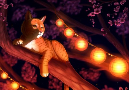 Коты воители арт ночь