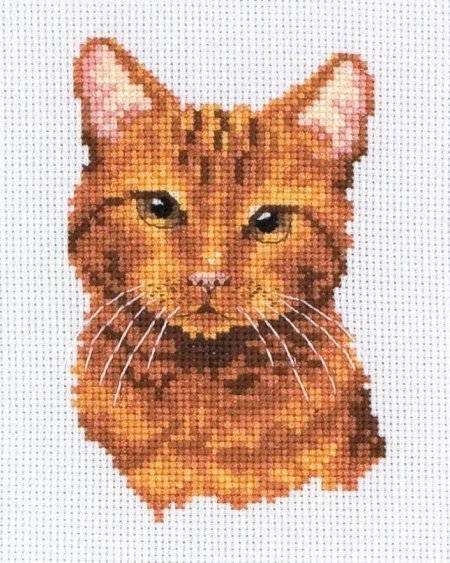 Вышивка коты