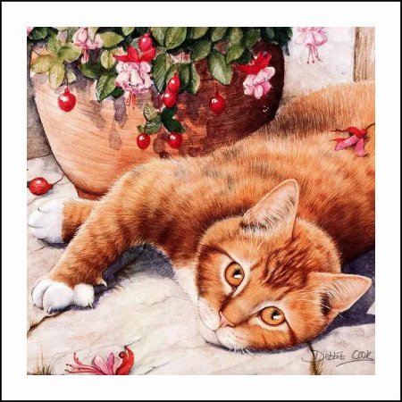 Художник debbie cook кошки