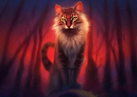 Варриор кэтс