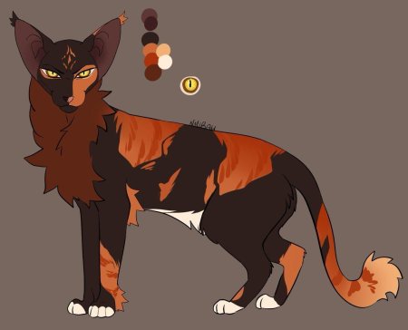 Сол коты воители