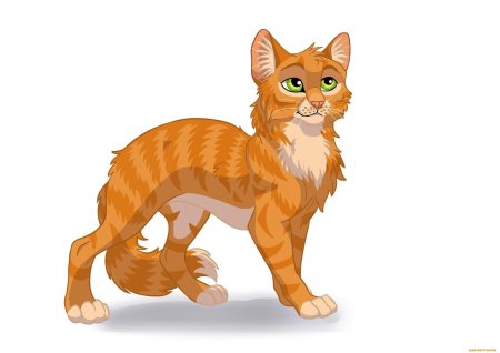 Коты воители огнезвезд