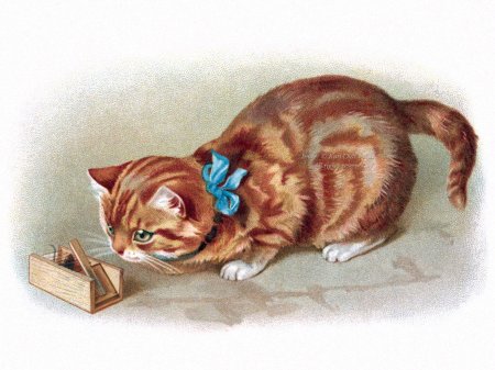 Винтажные открытки с котами