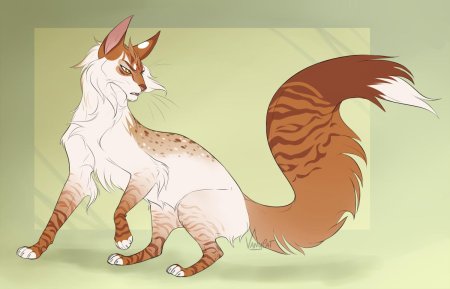 Коты воители vanycat