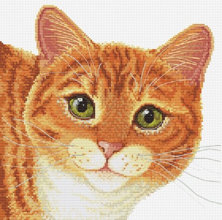 Рыжий кот мультяшный