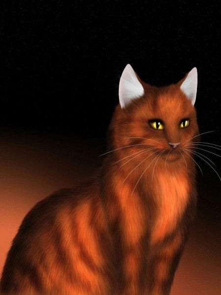 Коты воители алозвезд