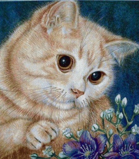 Котенок цветными карандашами