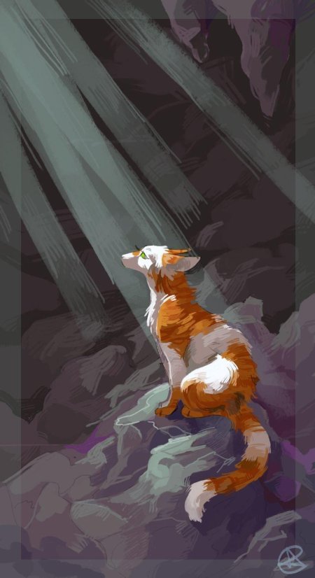 Коты воители яролика