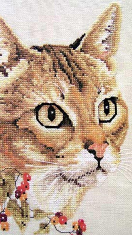 Каракал вышивка крестом