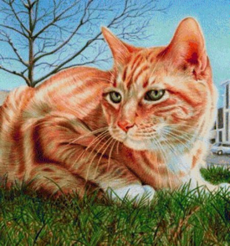 Рыжая кошка рисунок