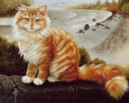 Картина рыжий кот