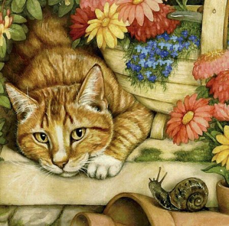 Иллюстрация кошка