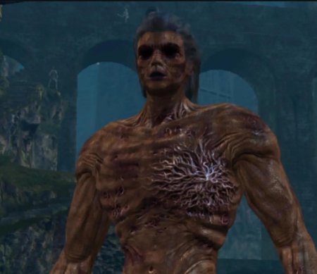 Полые дарк соулс