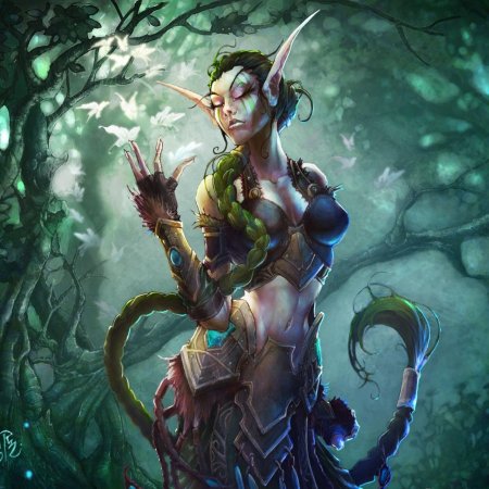 Демон хантер ночная эльфийка