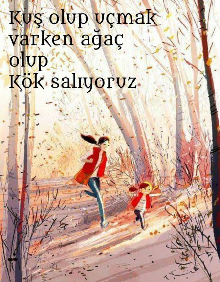 Осень иллюстрации