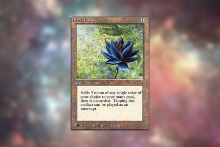 Черный лотус мтг