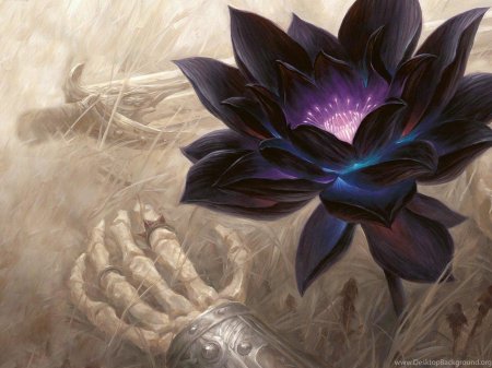 Черный лотос мтг