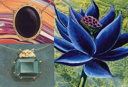 Цветки лотоса