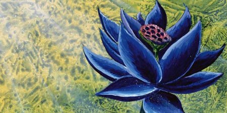 Черный лотос цветок