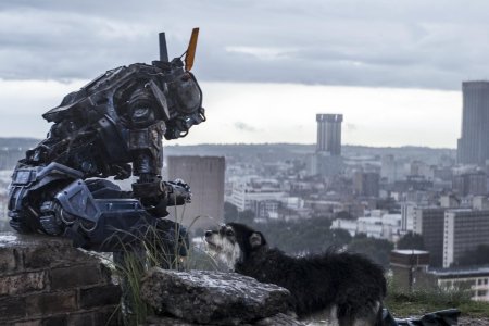 Чаппи робот