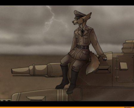 Фурри немцы вторая мировая